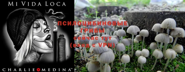 первитин Абинск